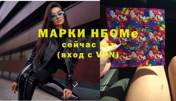 твердый Козельск